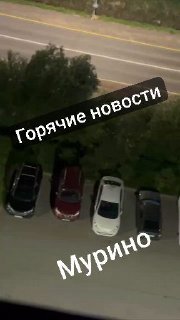 Пьяная драка и вандализм: ночь на шоссе в Лаврики