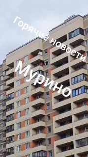 Необычный инцидент на Шоссе Лаврики: Логика ниндзя в действии