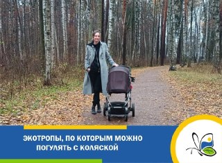 Идеальные экотропы для прогулок с малышом на свежем воздухе