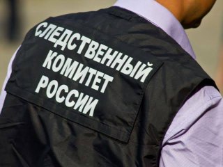 Уголовное дело после нападения собаки на ребенка в Коккорево