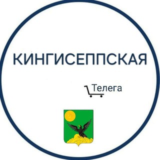 Массовая авария на птицефабрике в Ленобласти: 35 тысяч птиц погибло из-за атаки дронов