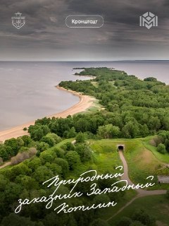 Кронштадт расширяет экологические территории и создает новые заказники
