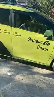 Таксист отказался везти собаку в больницу и оставил её умирать
