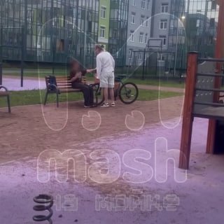 Мама из Сертолово угрожала и избивала детей за игры на площадке