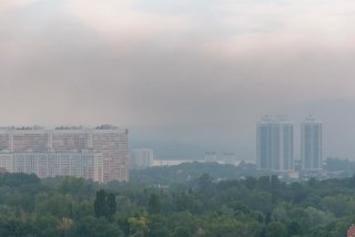 В Ленинградской области введен режим НМУ из-за ухудшения качества воздуха