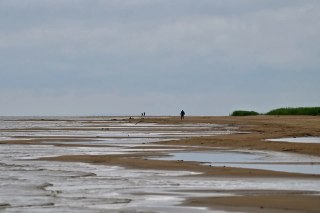 Губернатор назвал причины снижения уровня воды в Ладожском озере
