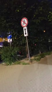 В Ленобласти введены штрафы за езду на электросамокатах и других устройствах